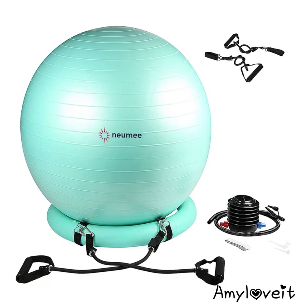 NEUMEE Yoga Ball Chair with 65cm Exercise Ball 2 Resistance Bands Stability Base